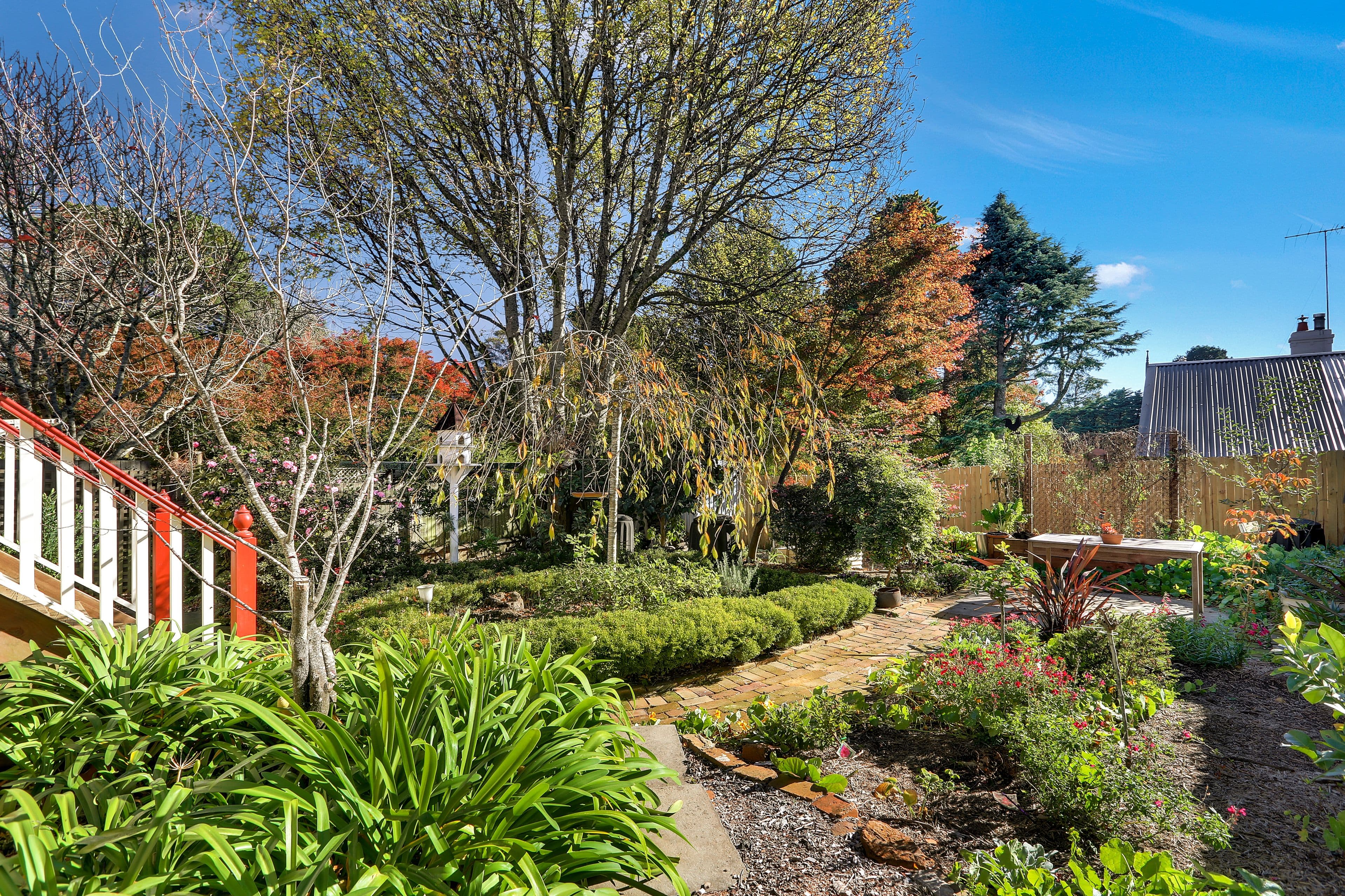 6 Clyde Avenue, Blackheath - Thumbnail 3