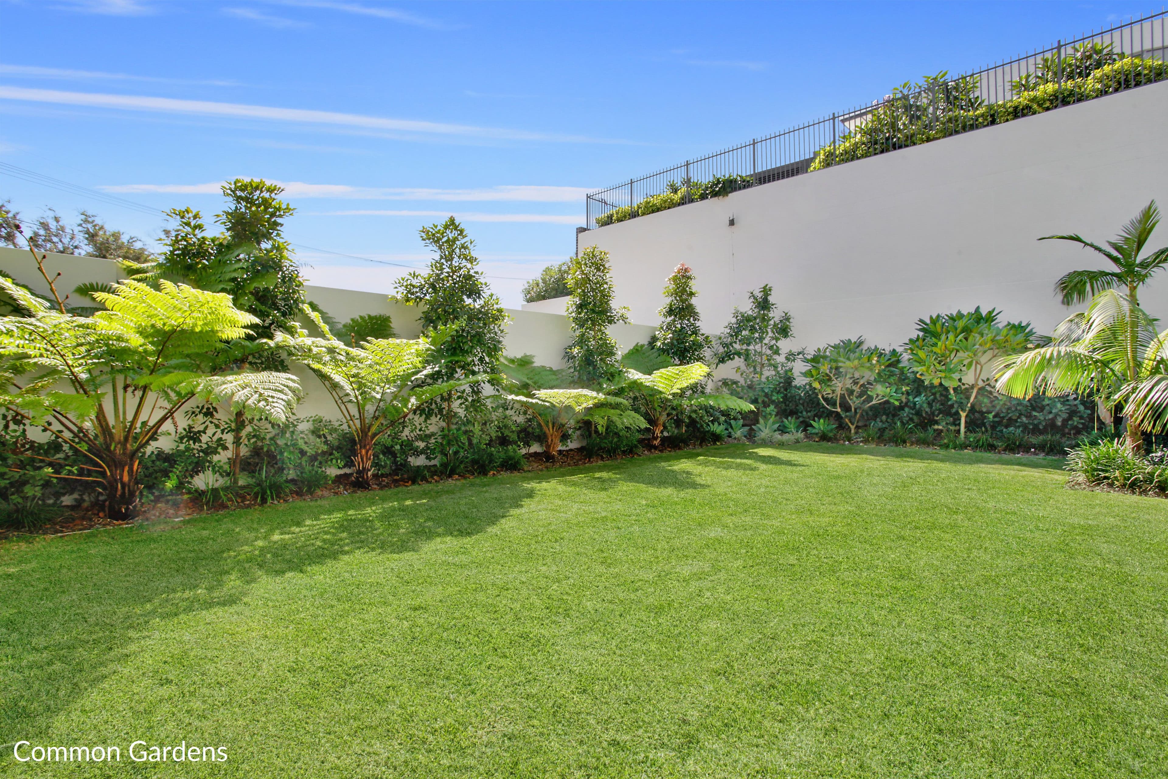 62a Dover Road, Rose Bay NSW 2029, Rose Bay - Image 1