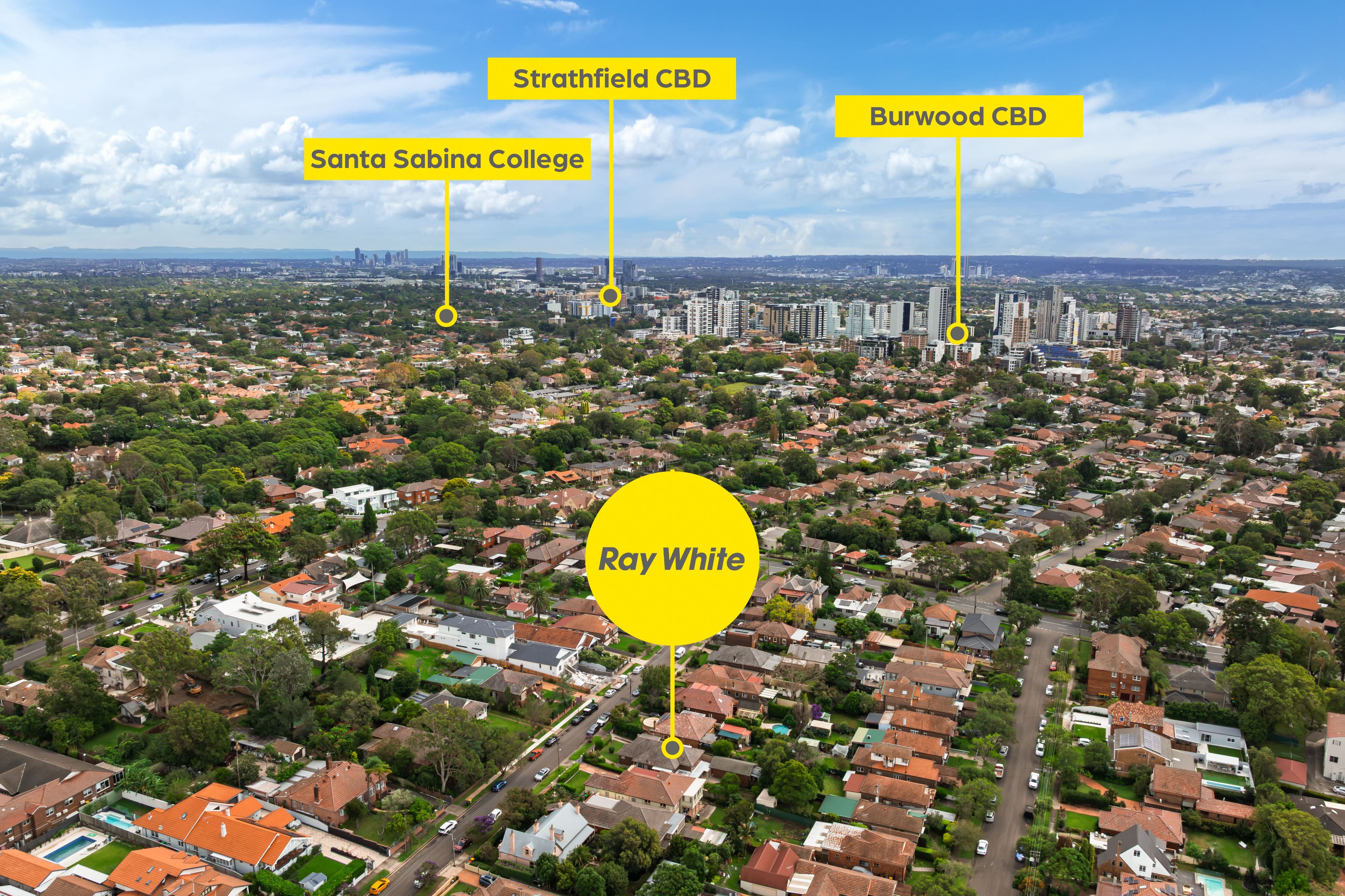 14 Badminton Road, Croydon NSW 2132, Croydon - Thumbnail 3
