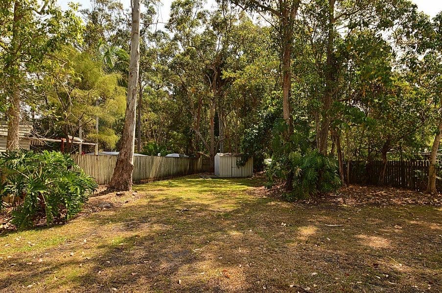 3 Raintree Drive, Tewantin QLD 4565, Tewantin - Thumbnail 6