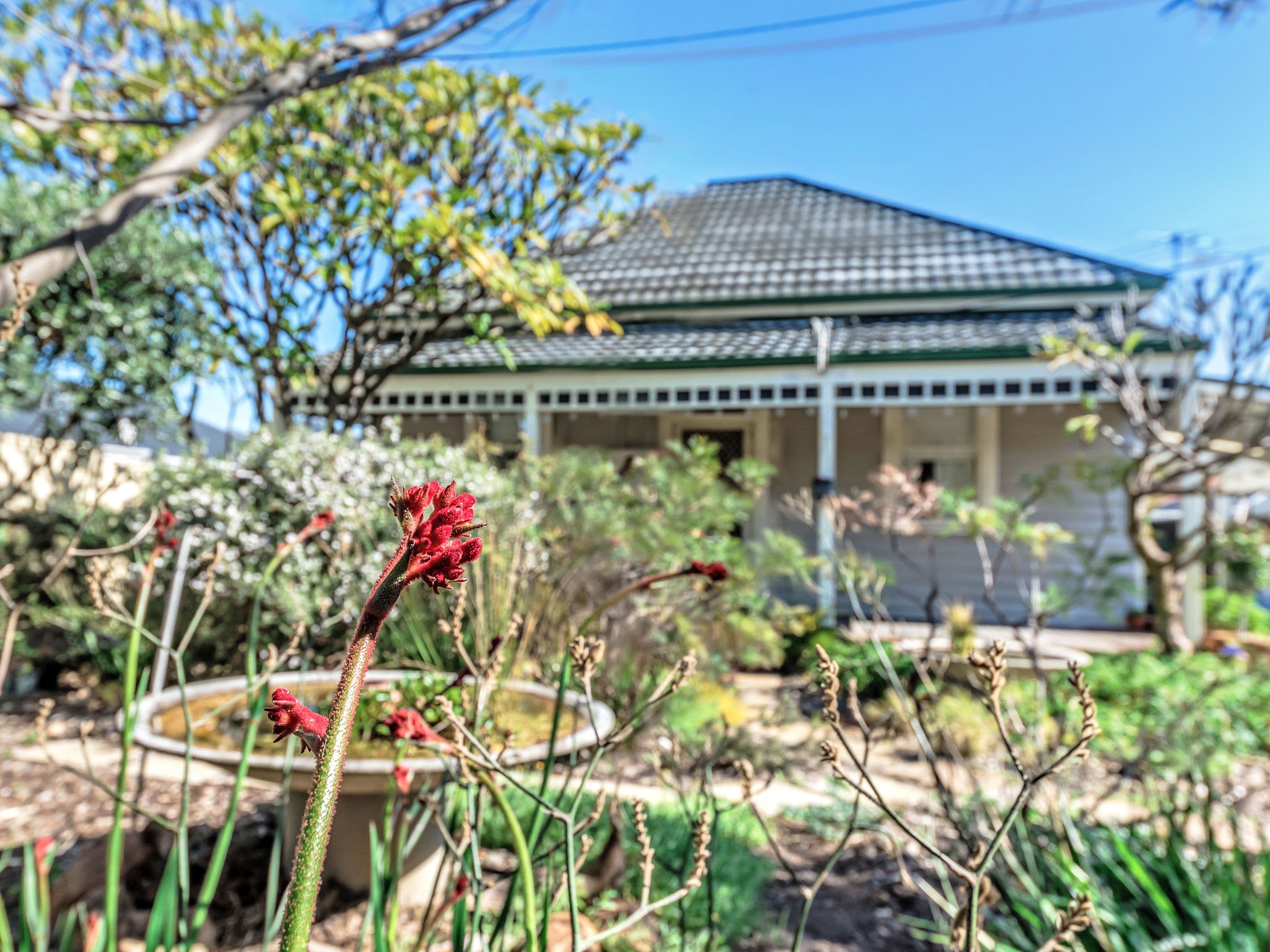 27 Star Street, Carlisle WA 6101, Carlisle - Image 1