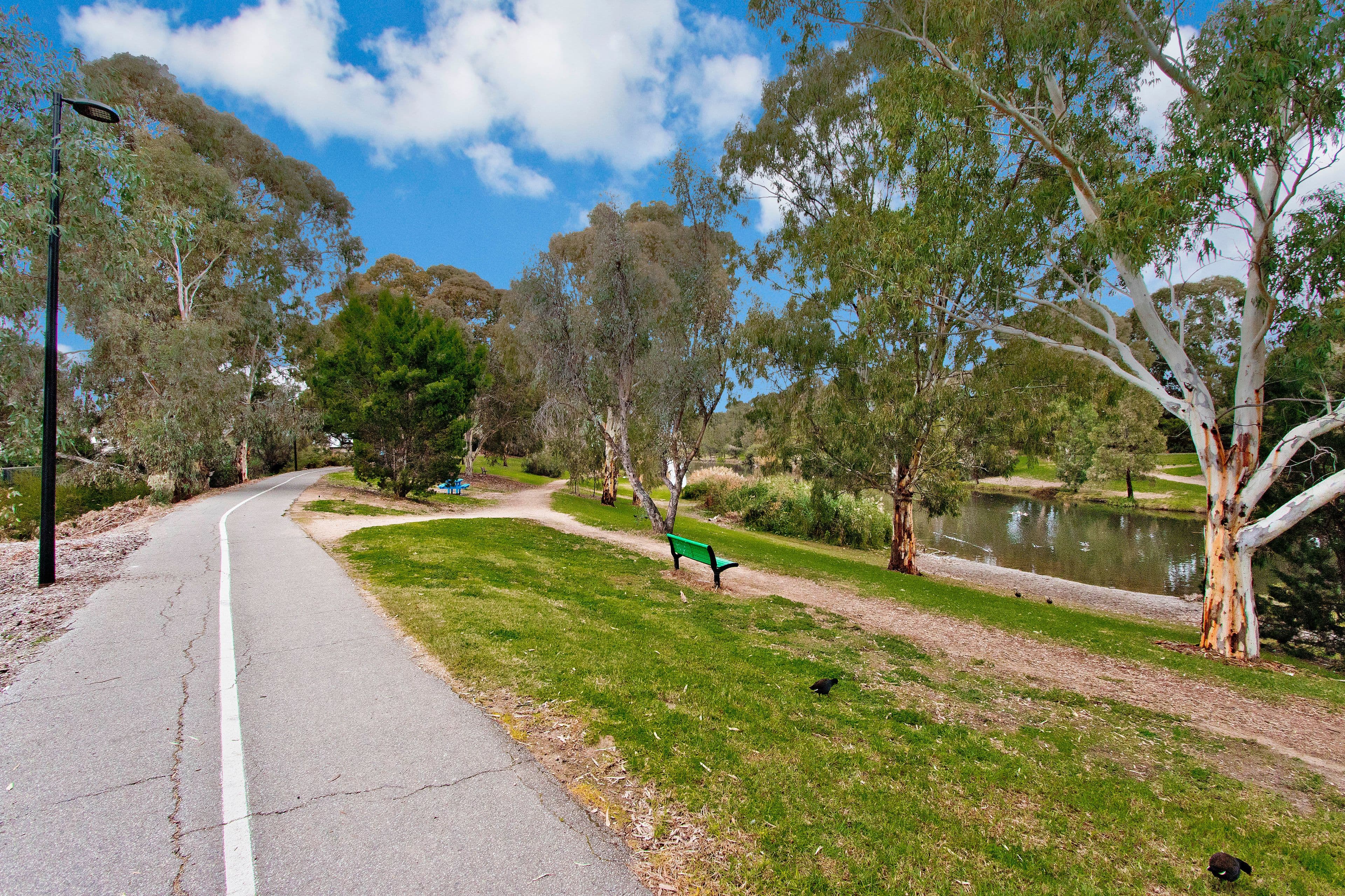 13 Brecon Court, Lockleys SA 5032, Lockleys - Thumbnail 2