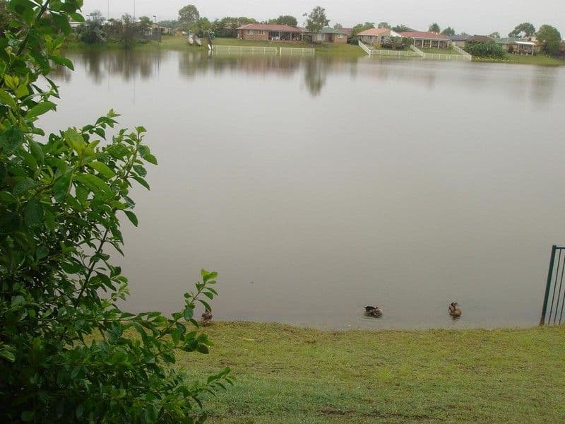 20 Barbet Place, BURLEIGH WATERS QLD 4220, Burleigh Waters - Image 1