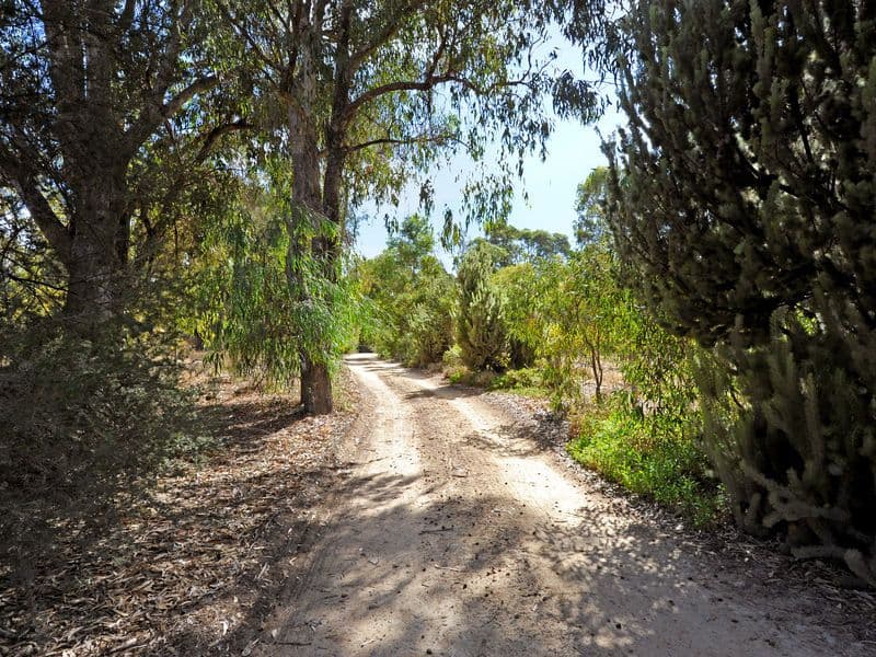 34 Karri Street, KARNUP WA 6176, Karnup - Thumbnail 5