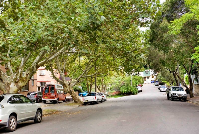 14  Sheehy Street, GLEBE NSW 2037, Glebe - Thumbnail 4