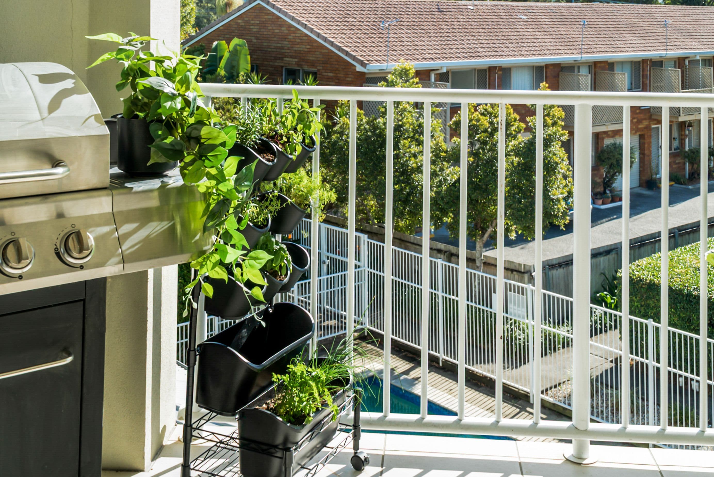 33 Lloyd Street, Tweed Heads South NSW 2486, Tweed Heads South - Thumbnail 4