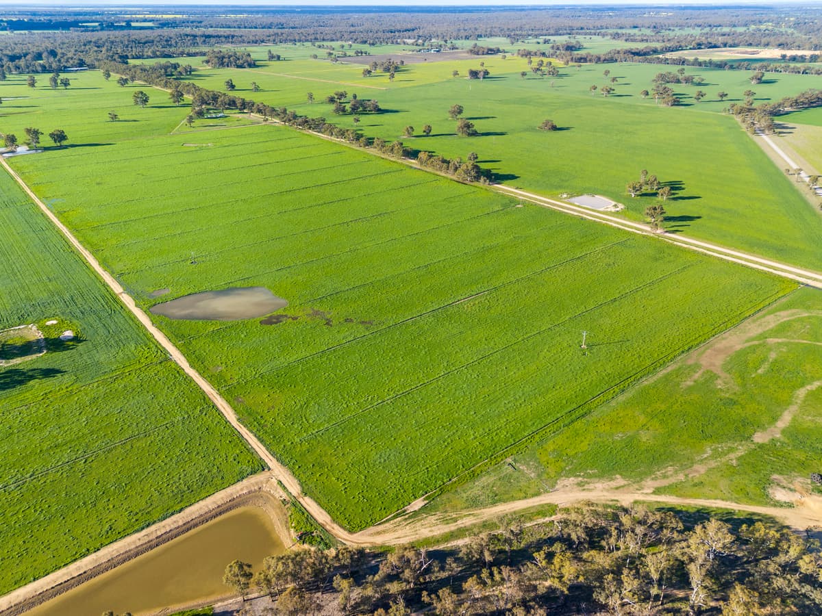 210 Waser Road, Strathmerton, Strathmerton - Thumbnail 3