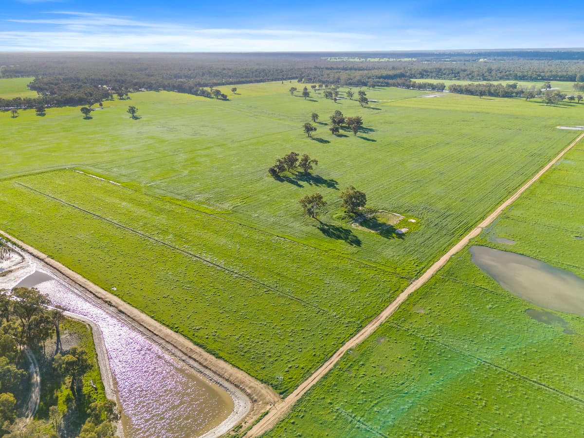 210 Waser Road, Strathmerton, Strathmerton - Thumbnail 4