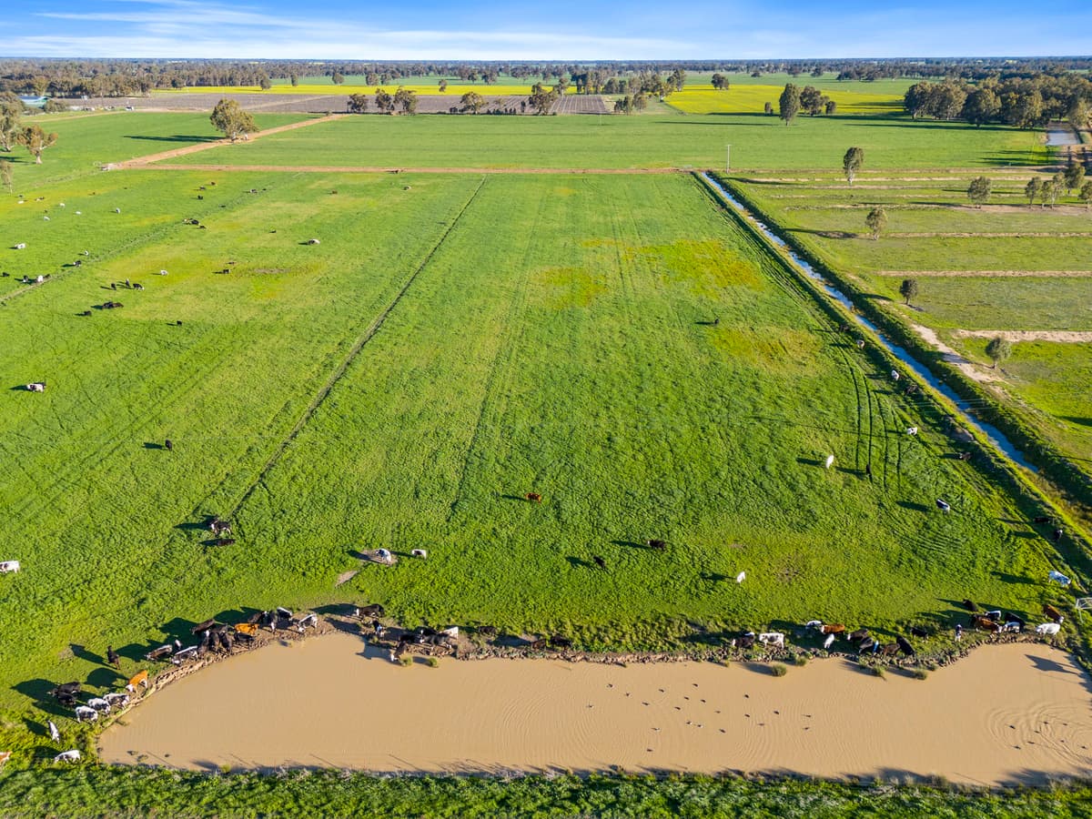 210 Waser Road, Strathmerton, Strathmerton - Thumbnail 6