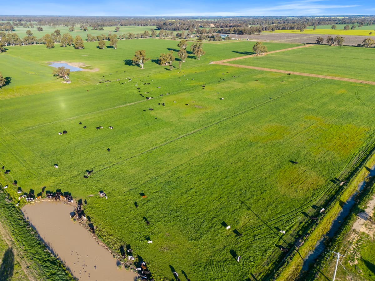 210 Waser Road, Strathmerton, Strathmerton - Thumbnail 8