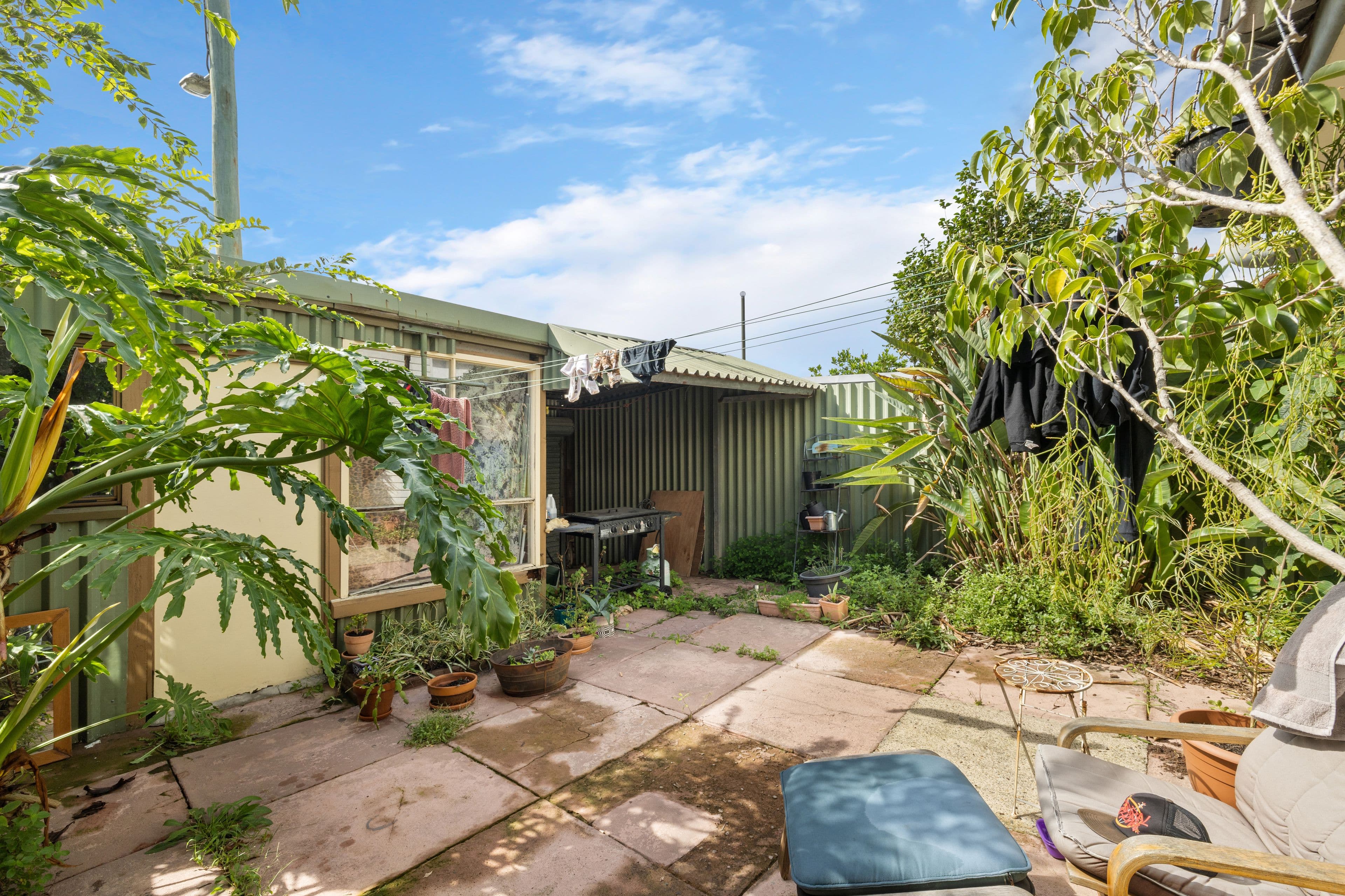 36 Hopetoun Street, Camperdown NSW 2050, Camperdown - Thumbnail 4