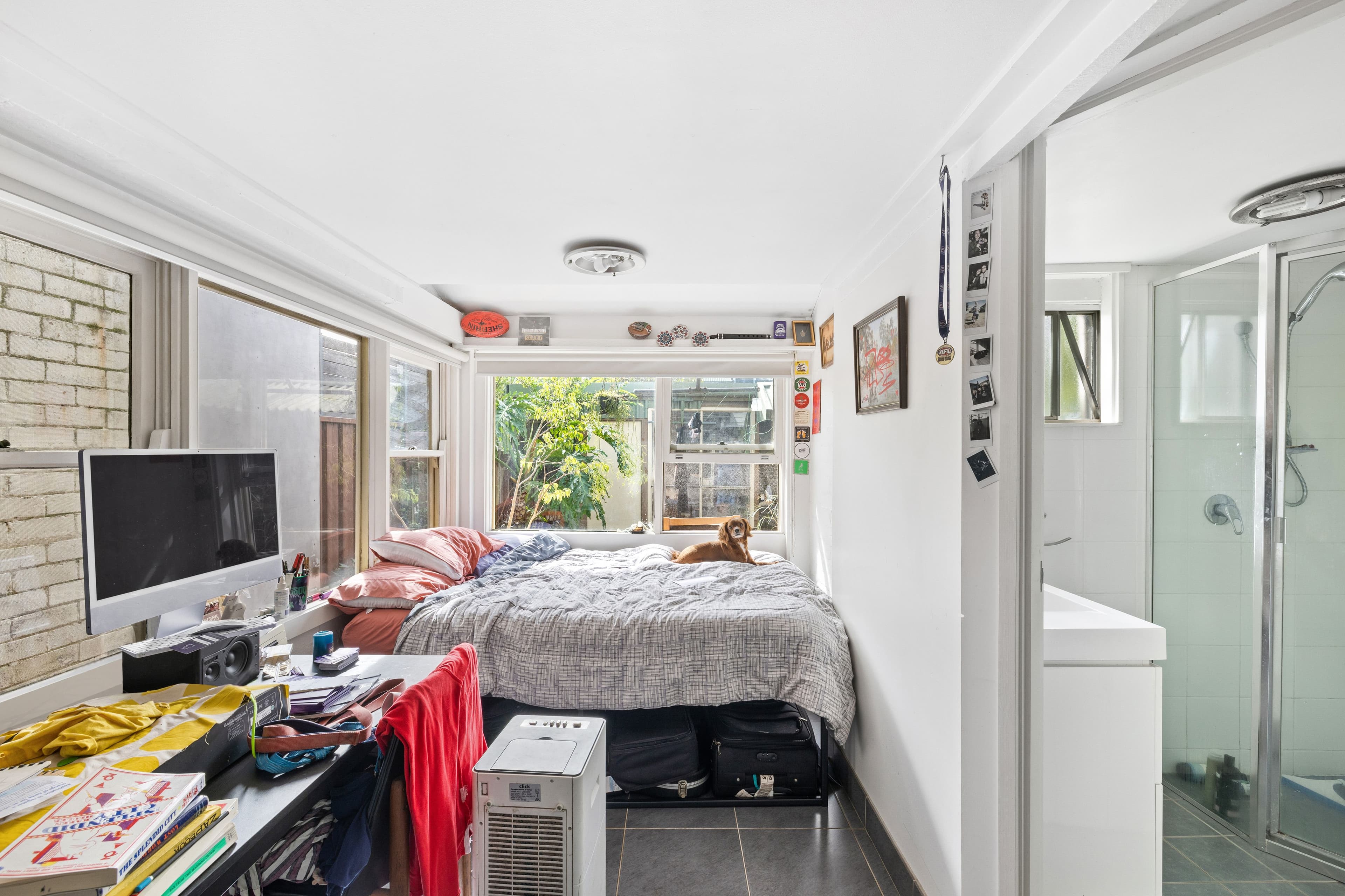 36 Hopetoun Street, Camperdown NSW 2050, Camperdown - Thumbnail 6