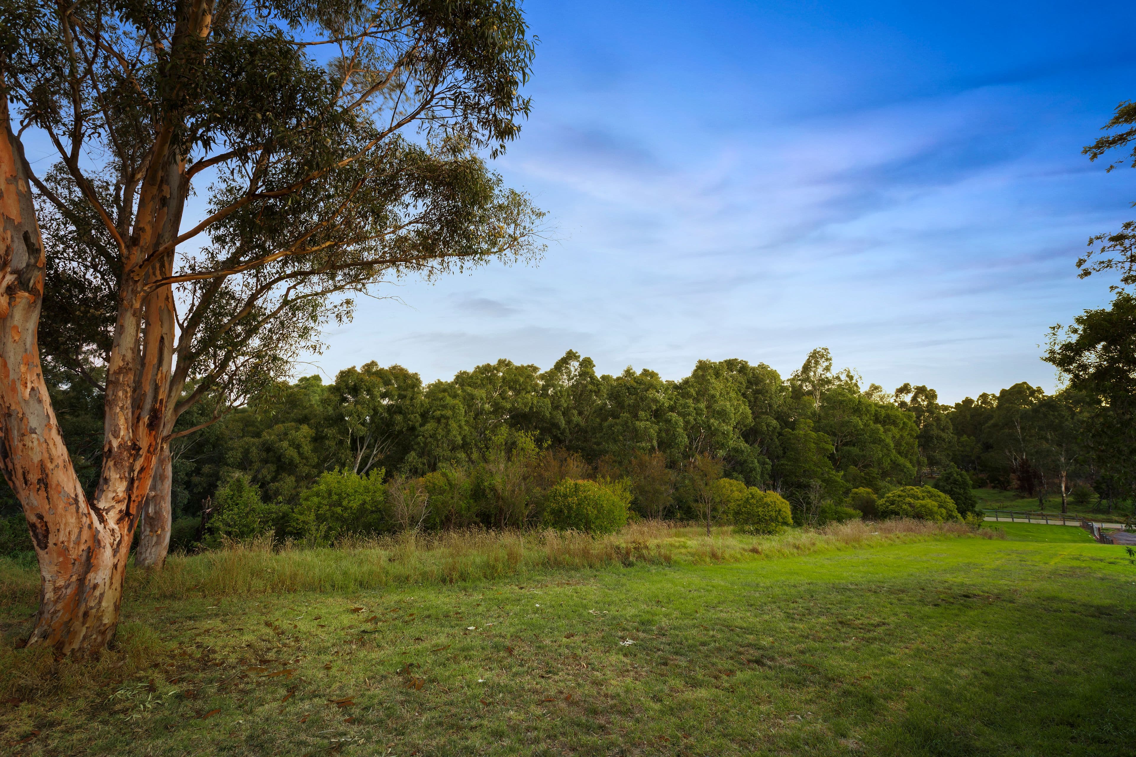 2 Vine Street, Heidelberg VIC 3084, Heidelberg - Thumbnail 8