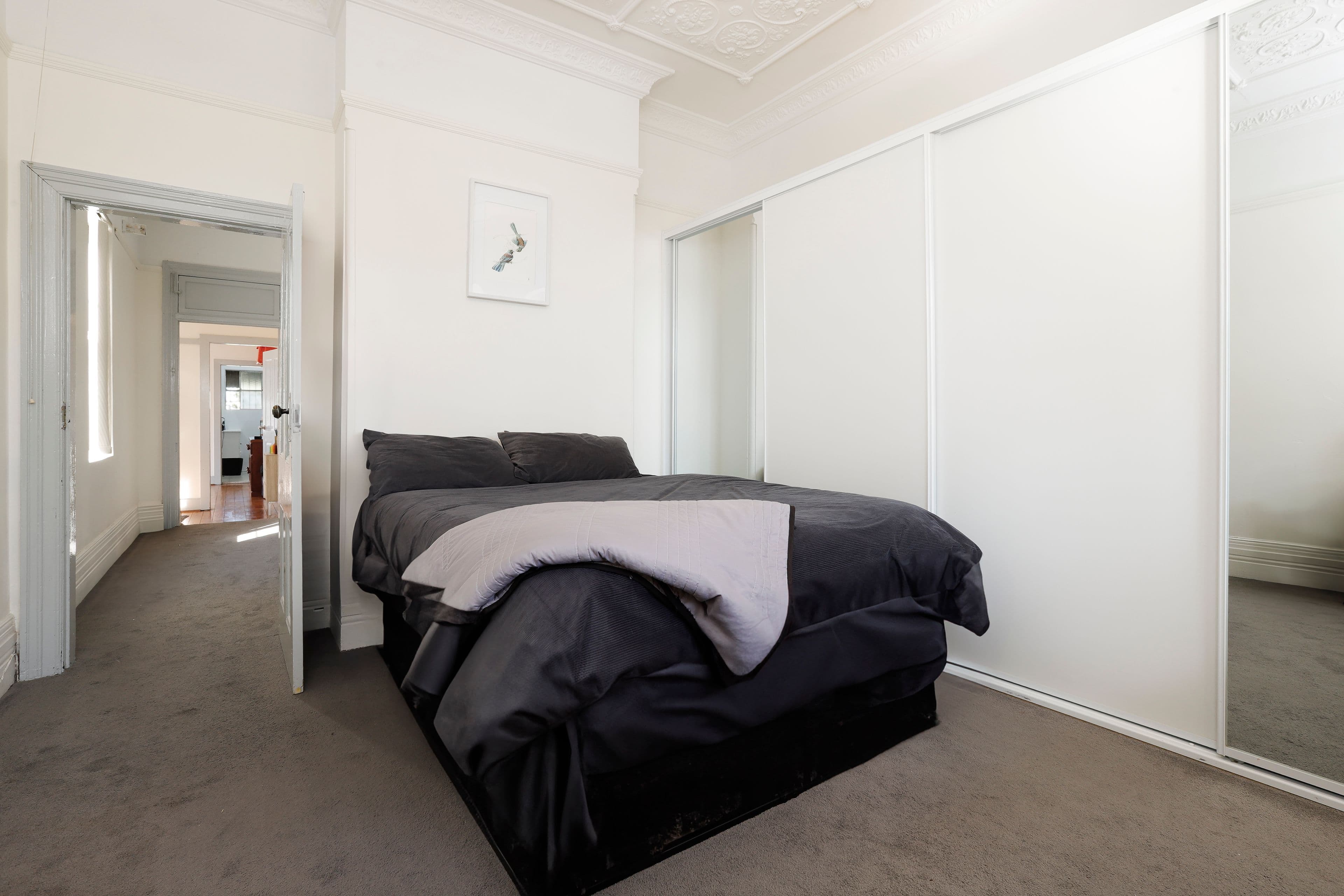 36 Marlowe Street, Campsie NSW 2194, Campsie - Thumbnail 3
