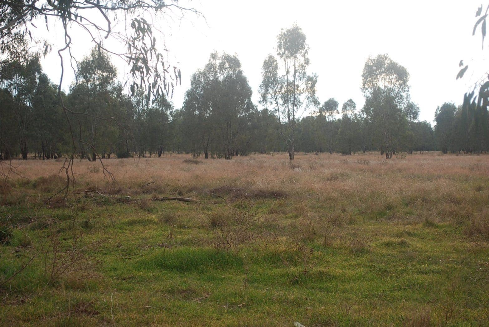 7 Mary Ann Road, ECHUCA VIC 3564, Echuca Village - Thumbnail 2