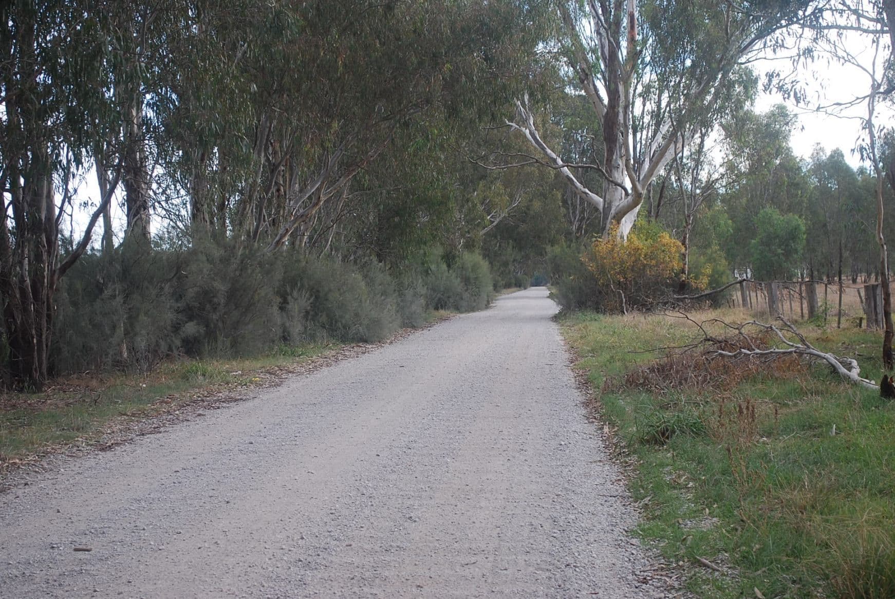 7 Mary Ann Road, ECHUCA VIC 3564, Echuca Village - Thumbnail 3