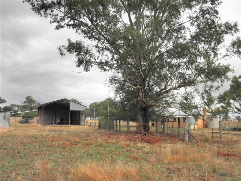 3863 Renshaw-McGirr Way, YEOVAL NSW 2868, Yeoval - Thumbnail 4