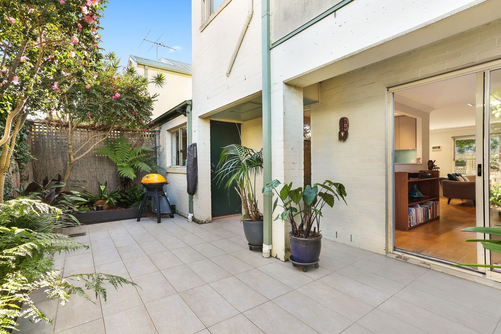 1/4 Bungay Street, Leichhardt NSW 2040, Leichhardt - Thumbnail 3