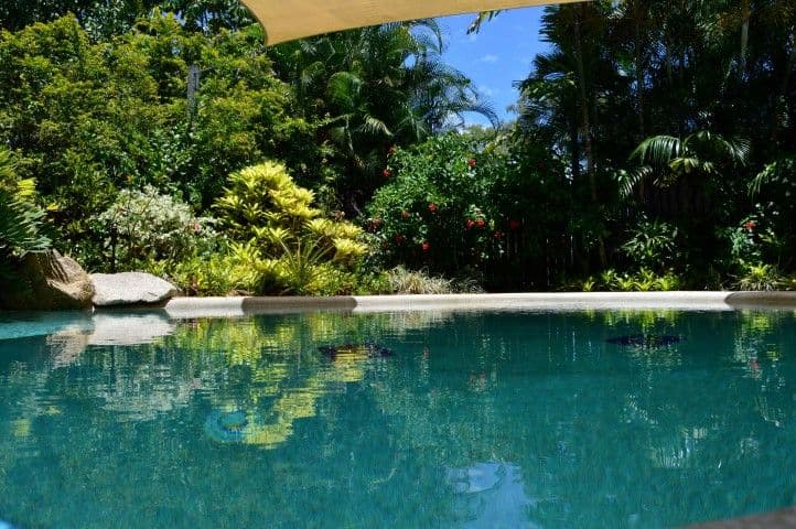 159 Reid Road, Wongaling Beach QLD 4852, Wongaling Beach - Image 1