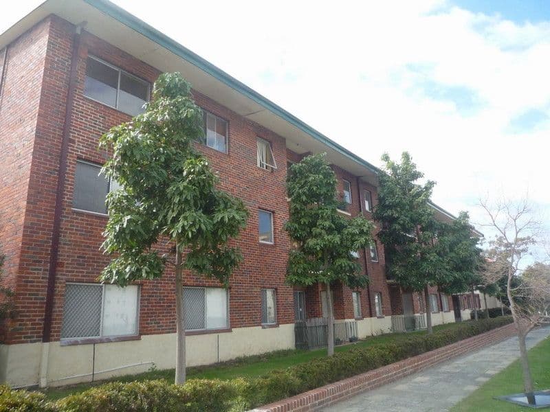 144 Lincoln Street, HIGHGATE WA 6003, Highgate - Thumbnail 4