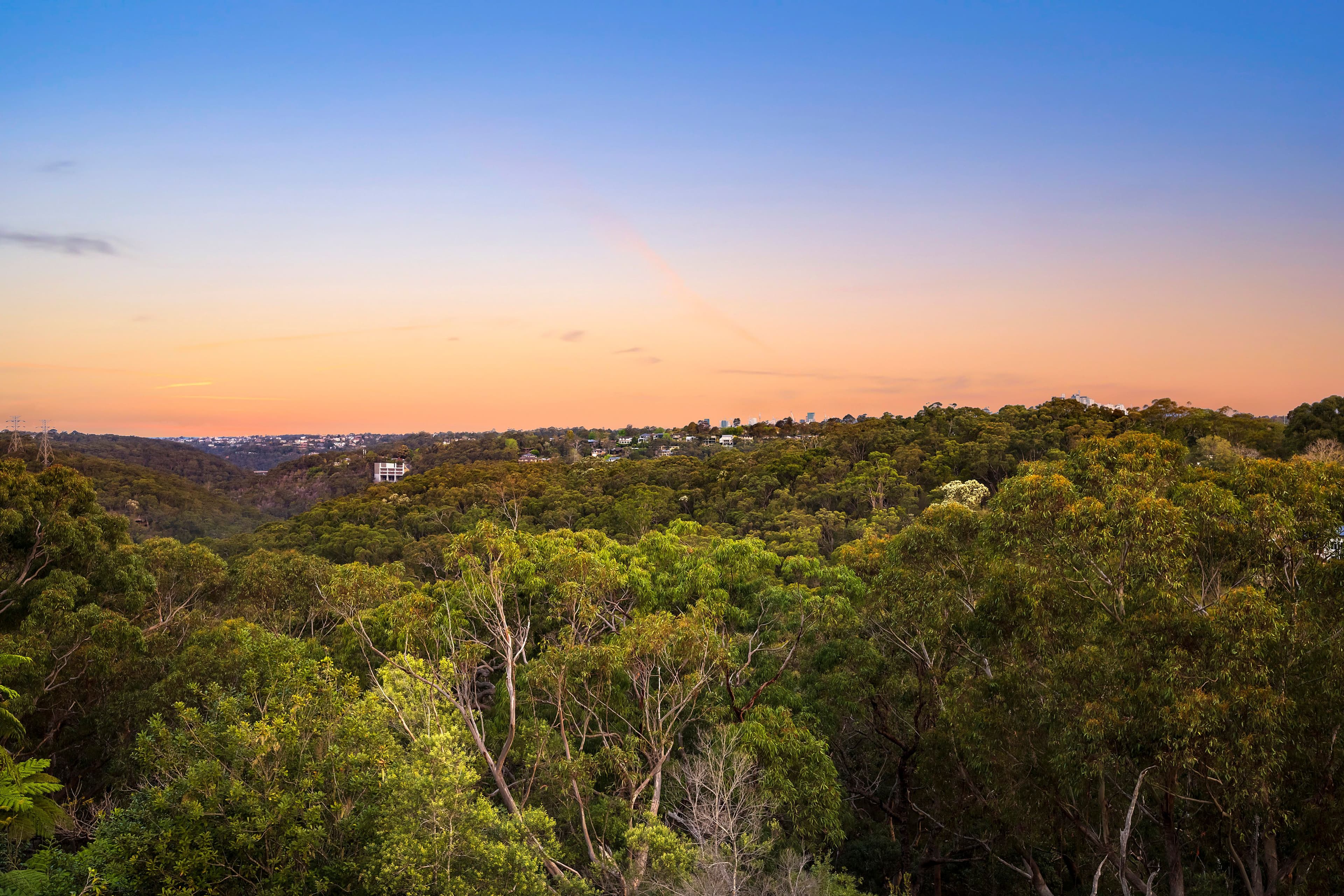 145 Koola Avenue, Killara NSW 2071, Killara - Thumbnail 4