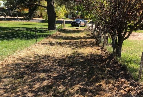 88 Wellington Street, Bombala, Bombala - Image 1