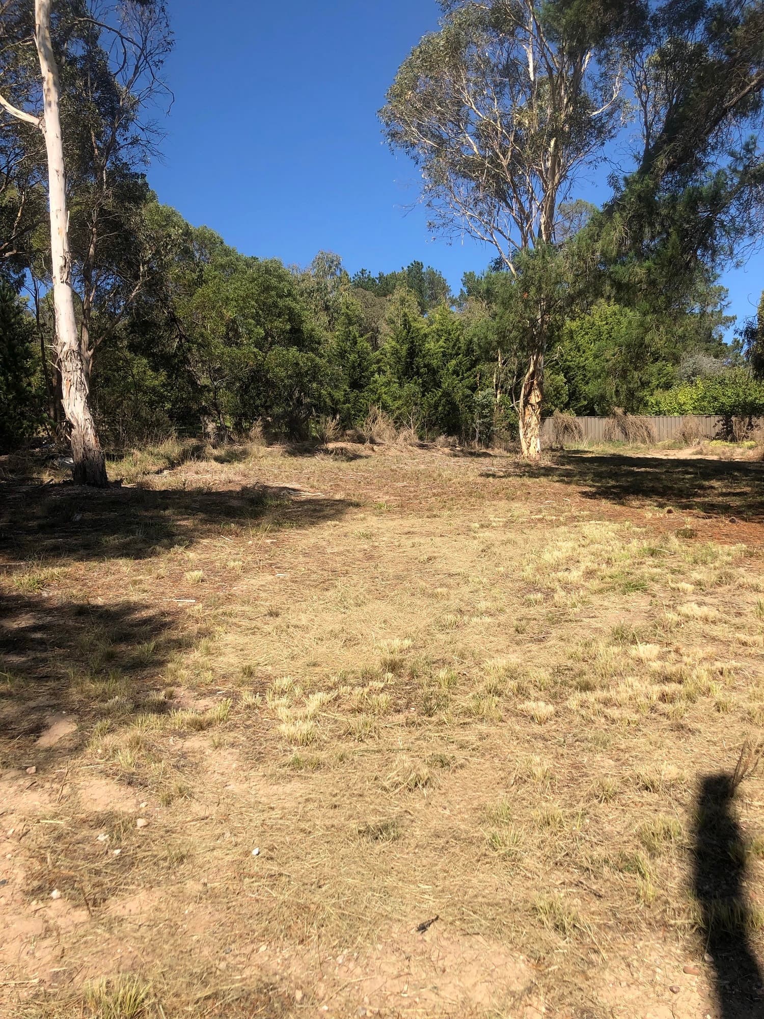 88 Wellington Street, Bombala, Bombala - Thumbnail 3