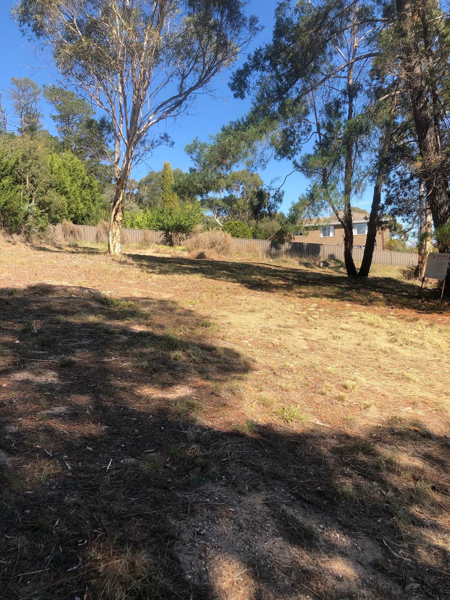 88 Wellington Street, Bombala, Bombala - Thumbnail 4