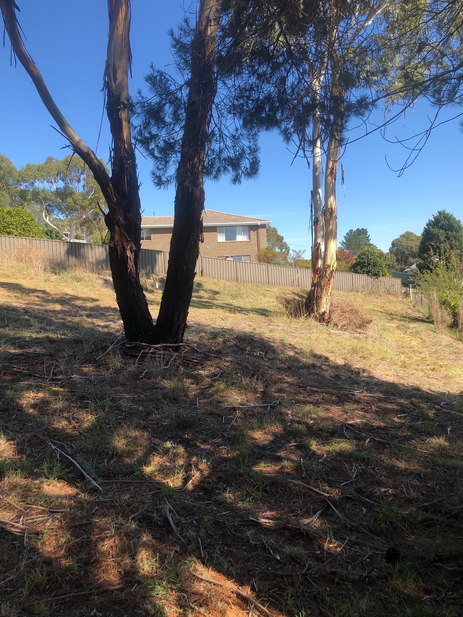 88 Wellington Street, Bombala, Bombala - Thumbnail 6