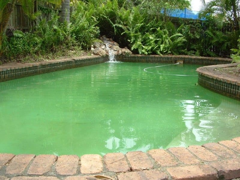 34 Passerine Drive, ROCHEDALE SOUTH QLD 4123, Rochedale South - Thumbnail 5