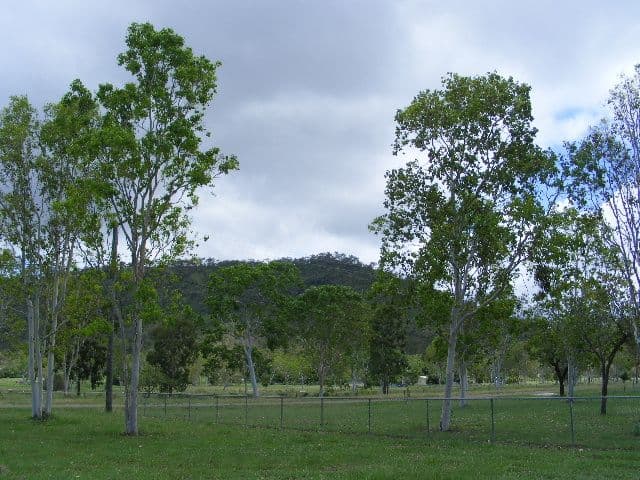 2a Cordingley Road, ALLIGATOR CREEK QLD 4816, Alligator Creek - Thumbnail 7