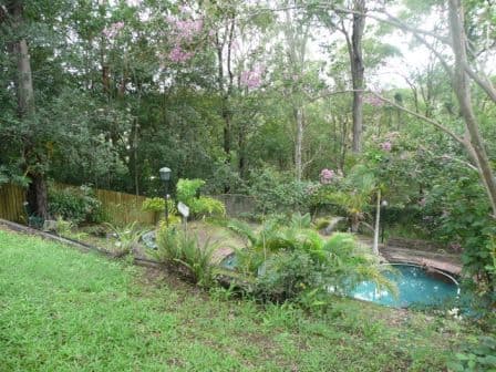 66 Burbong Street, CHAPEL HILL QLD 4069, Chapel Hill - Thumbnail 4