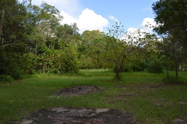 5 High Street, Peachester QLD 4519, Peachester - Thumbnail 5