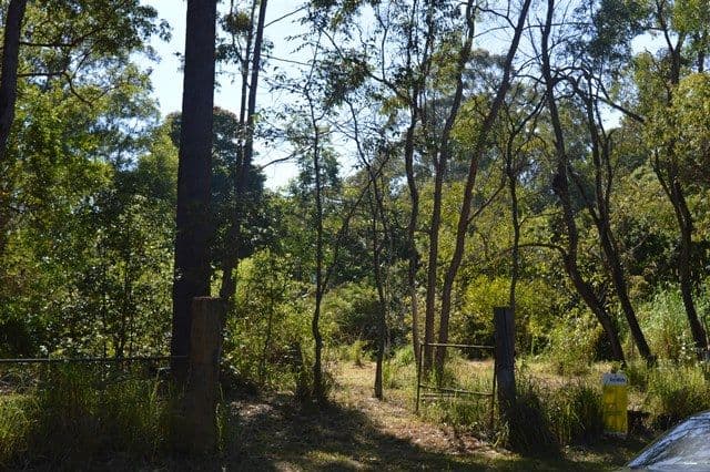 5 High Street, Peachester QLD 4519, Peachester - Thumbnail 8