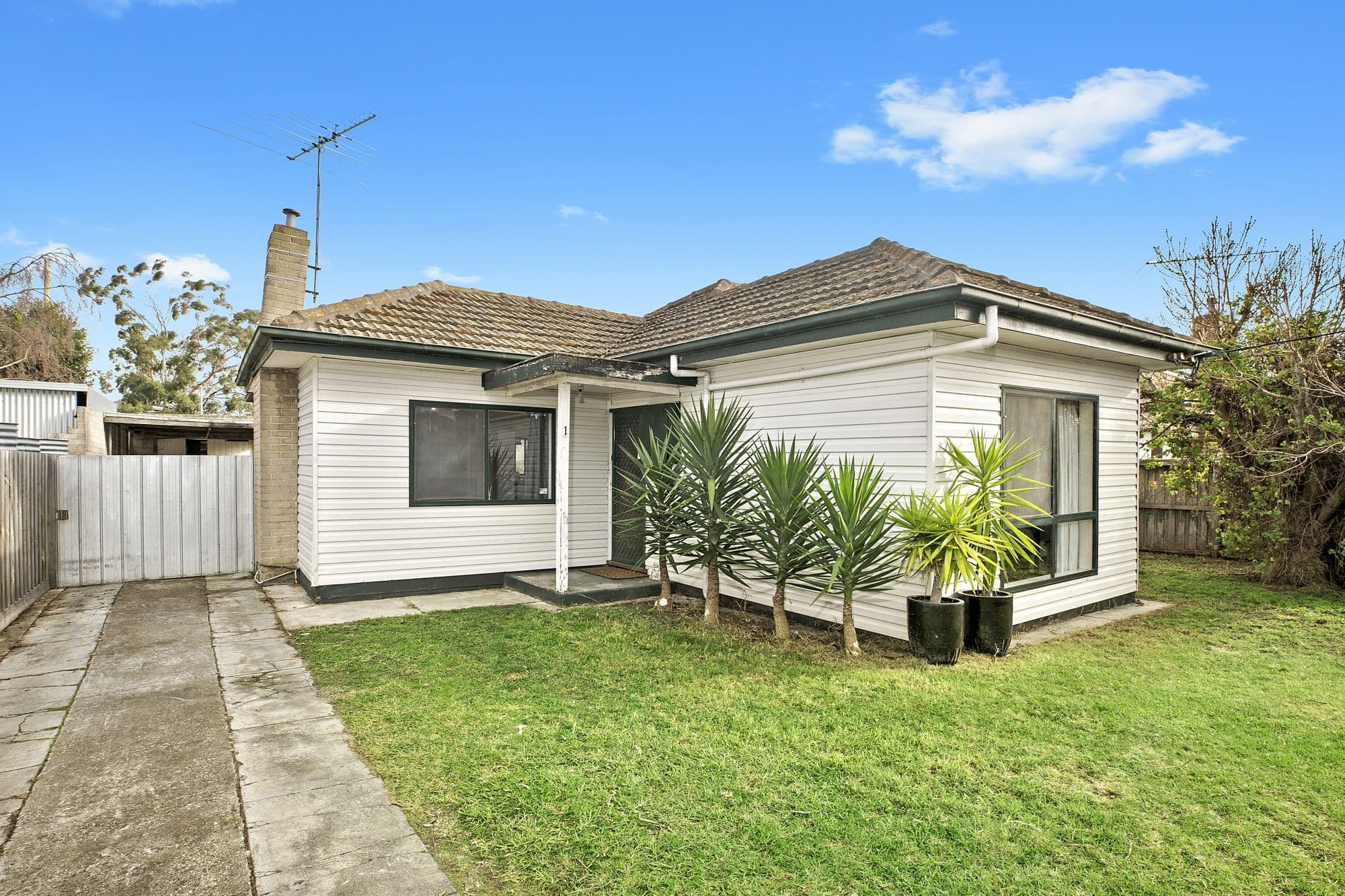 1 Stafford Street, Herne Hill VIC 3218, Herne Hill - Image 1