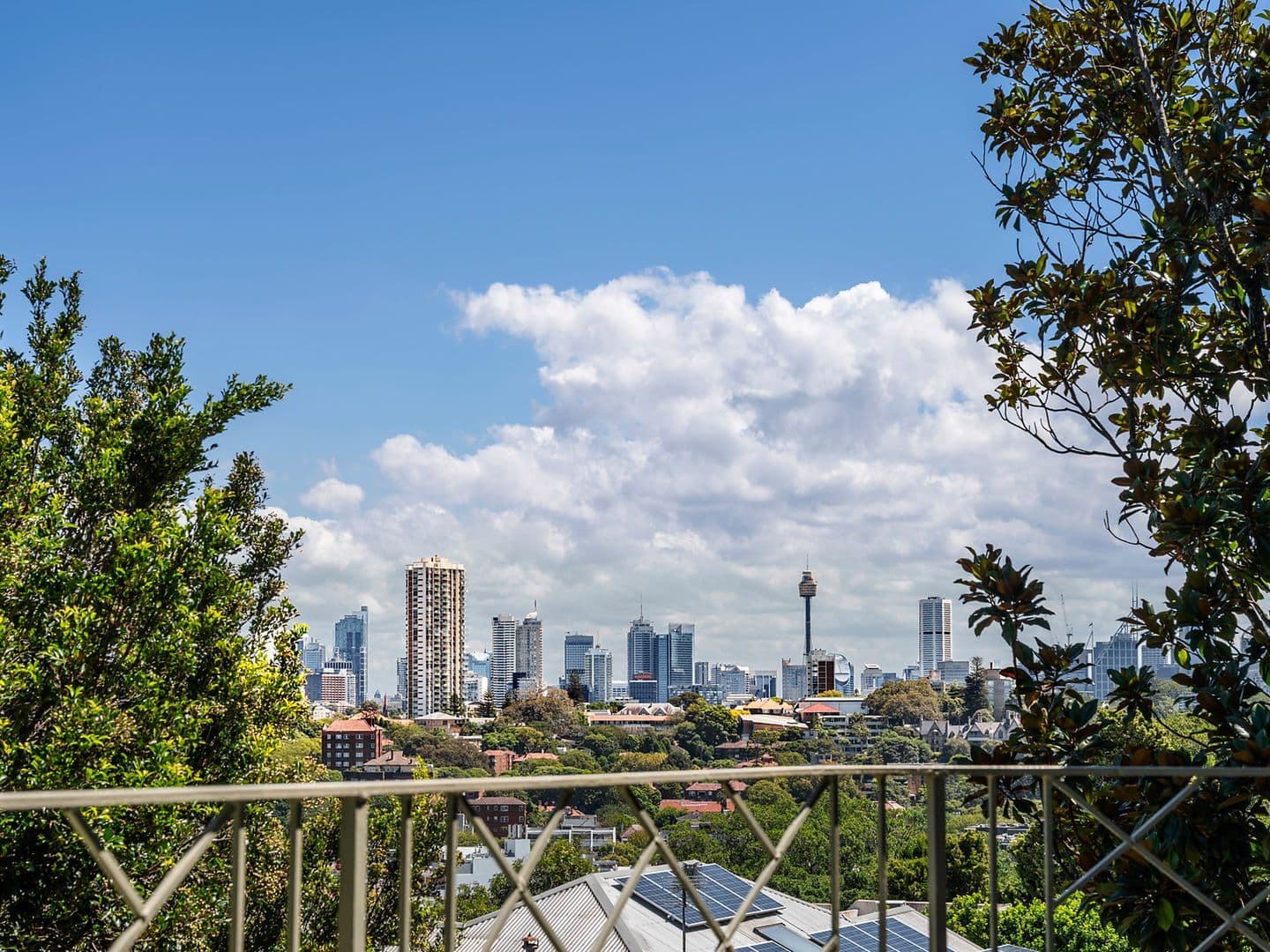 10 Kulgoa Road, Bellevue Hill NSW 2023, Bellevue Hill - Thumbnail 7
