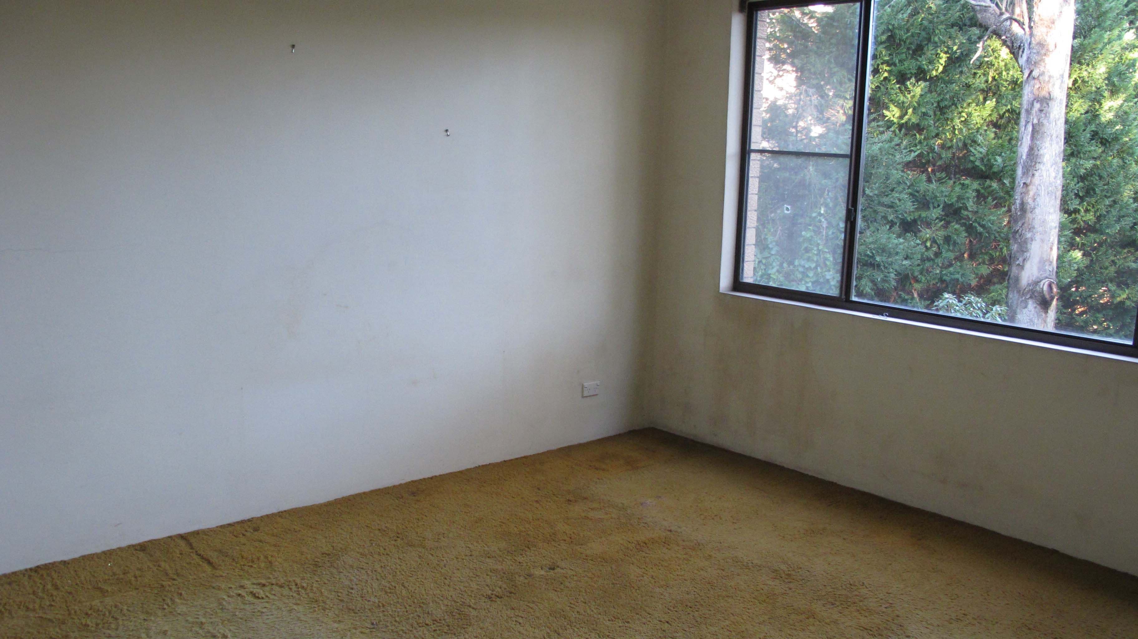 44-46 Princess Street, CANTERBURY NSW 2193, Canterbury - Thumbnail 2