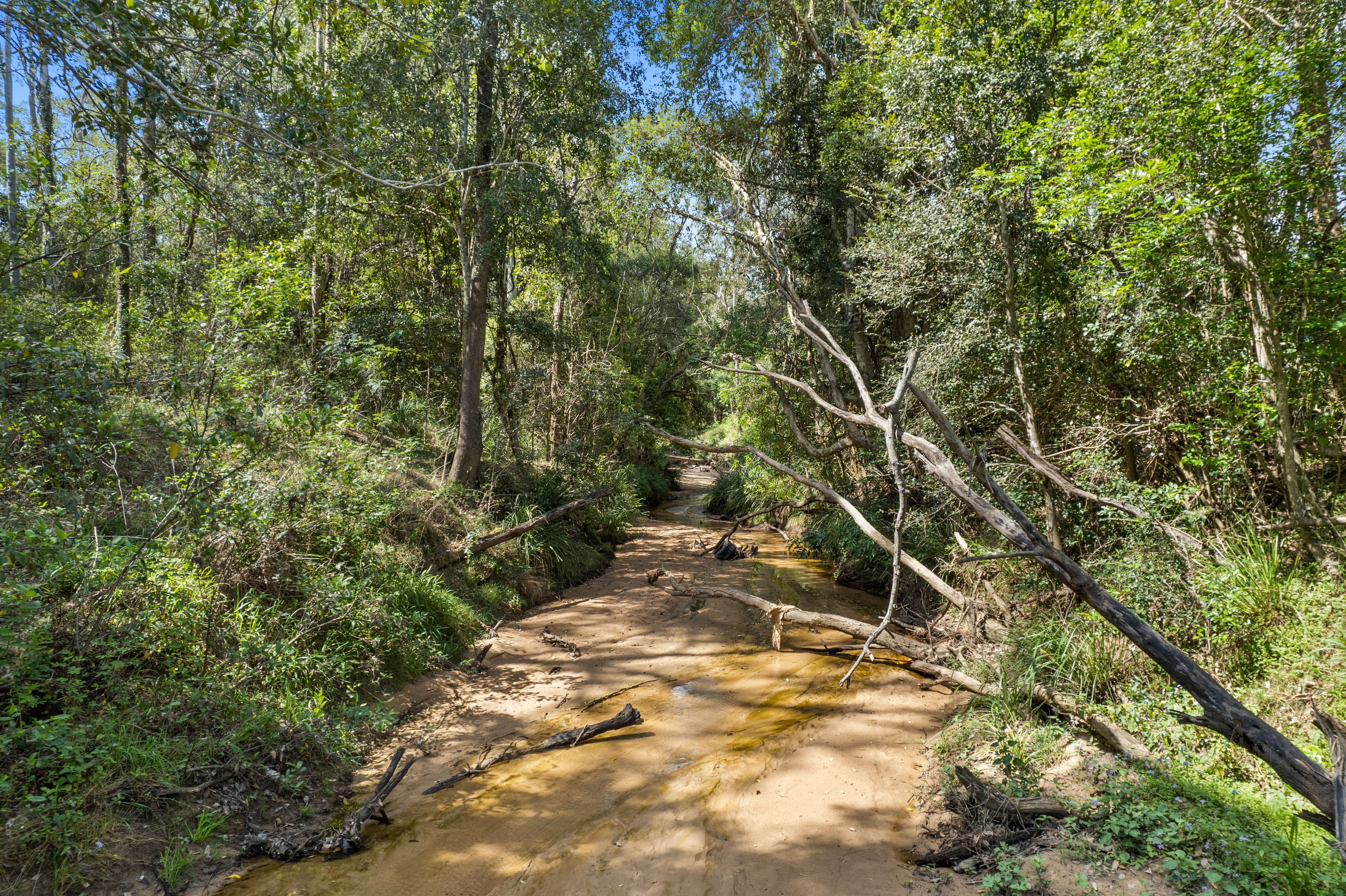 61-73 Baker Road, South Maclean QLD 4280, South Maclean - Thumbnail 5