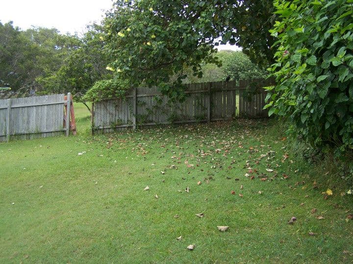 37 Underwood Road, FORSTER NSW 2428, Forster - Thumbnail 5