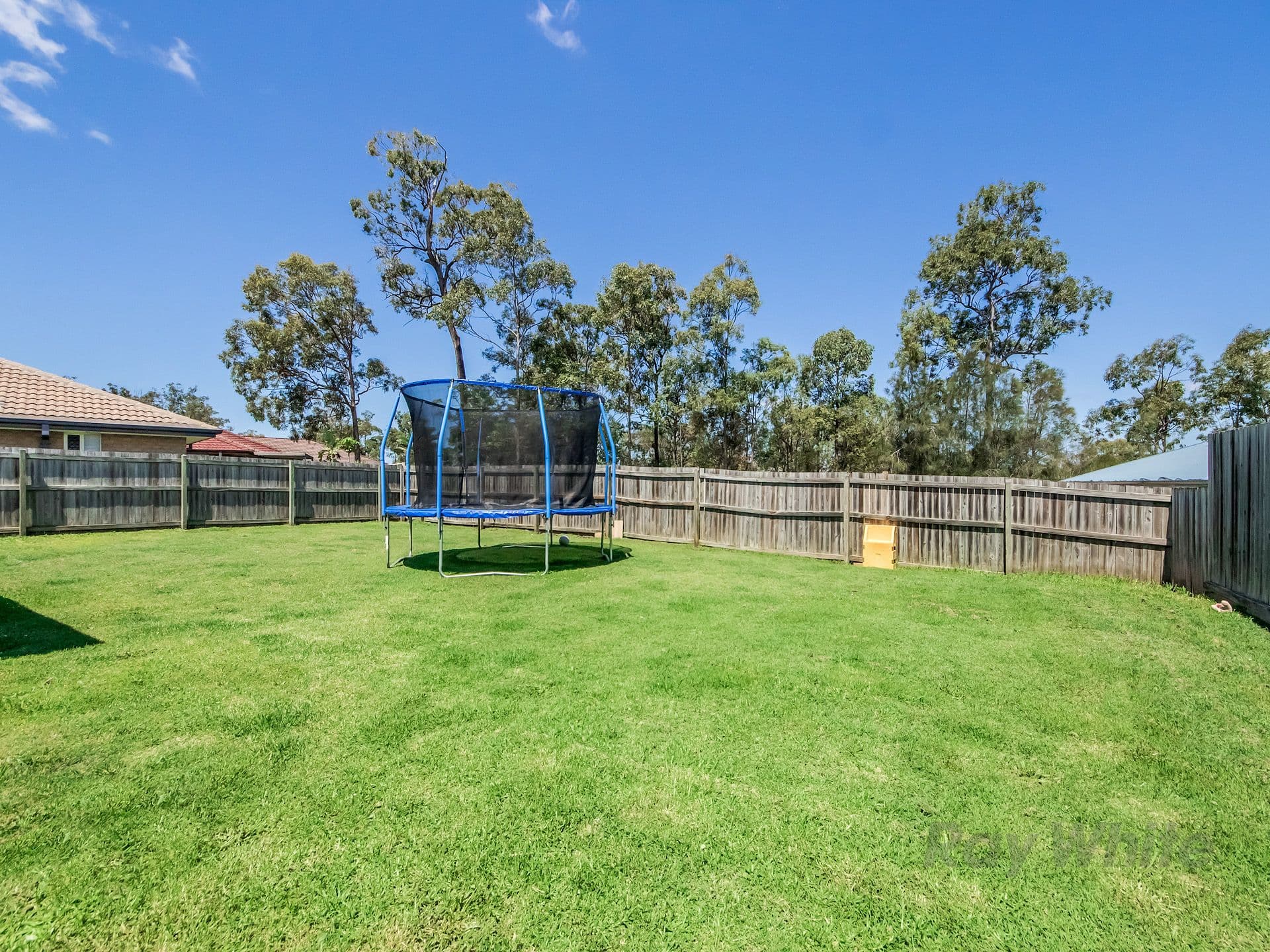 7 Freesia Court, Ormeau QLD 4208, Ormeau - Thumbnail 2