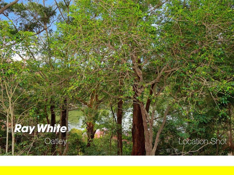 2  Phipps Street, OATLEY NSW 2223, Oatley - Thumbnail 4