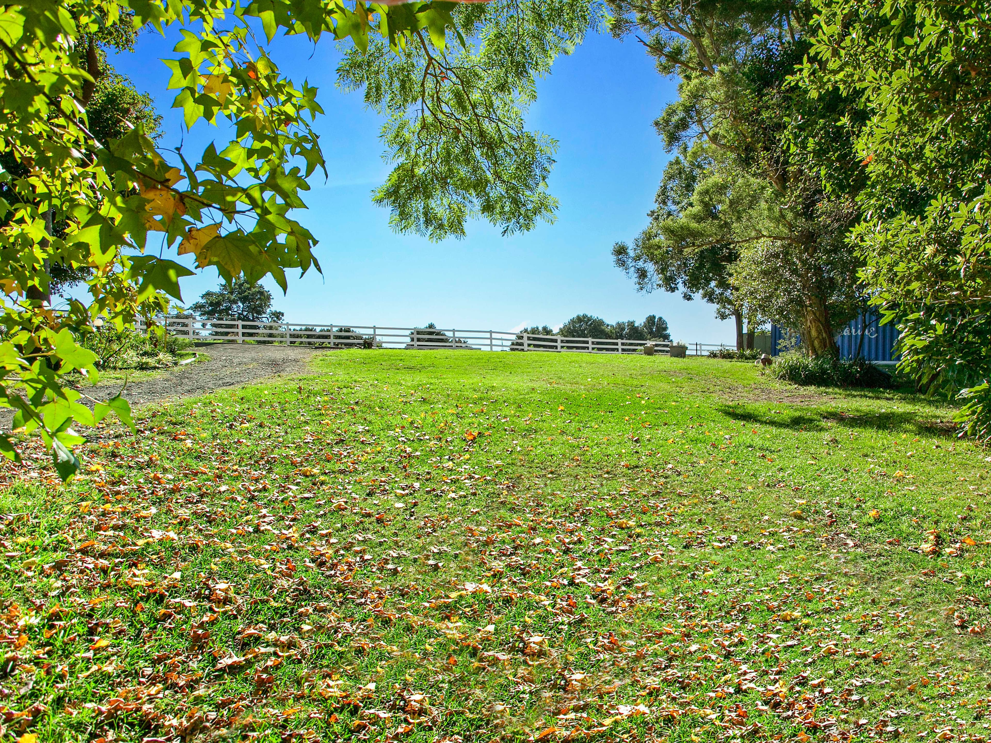 6 Wilford Street, Corrimal NSW 2518, Corrimal - Thumbnail 2