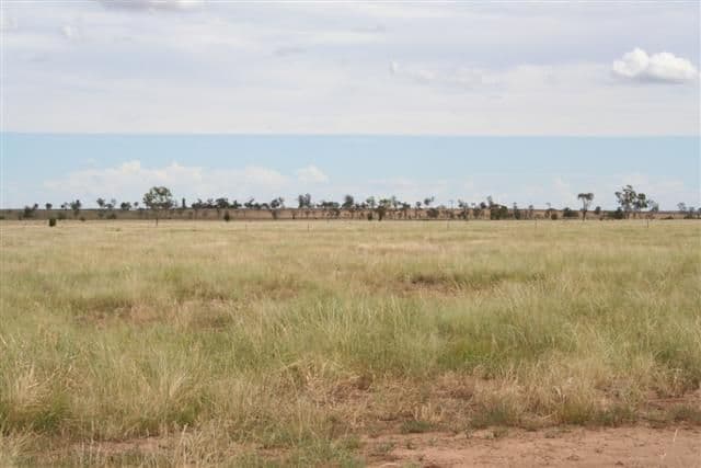 Lot 17 Martins Estate, ROMA QLD 4455, Roma - Thumbnail 2