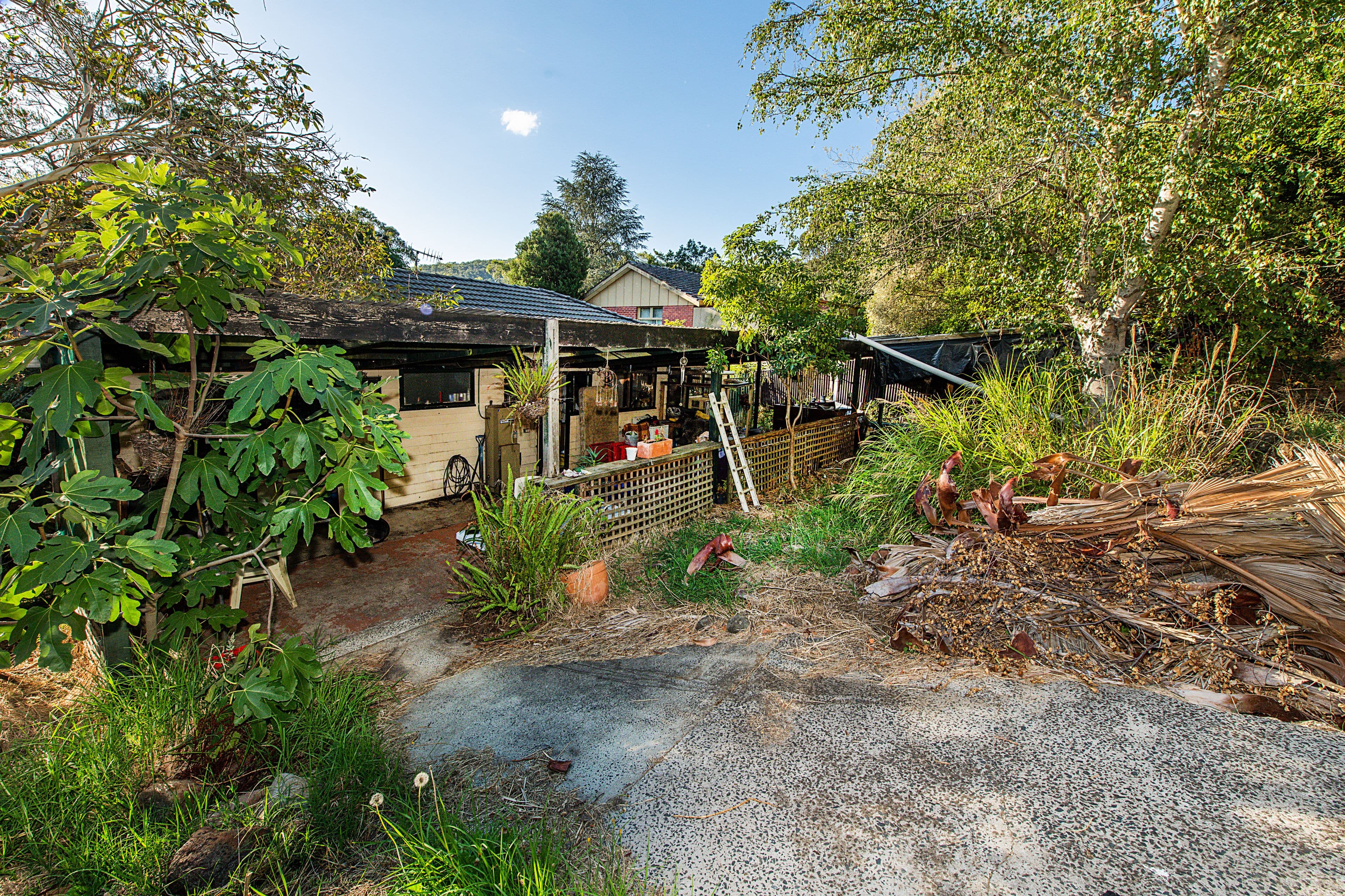 6 Kensley Street, Upper Ferntree Gully VIC 3156, Upper Ferntree Gully - Thumbnail 4