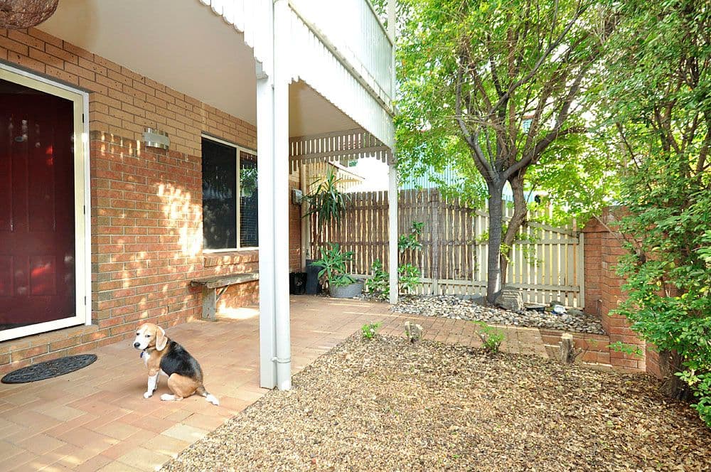 19 Annie Street, NEW FARM QLD 4005, New Farm - Thumbnail 8