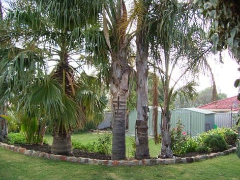 6 Elbe Court, BEECHBORO WA 6063, Beechboro - Thumbnail 5