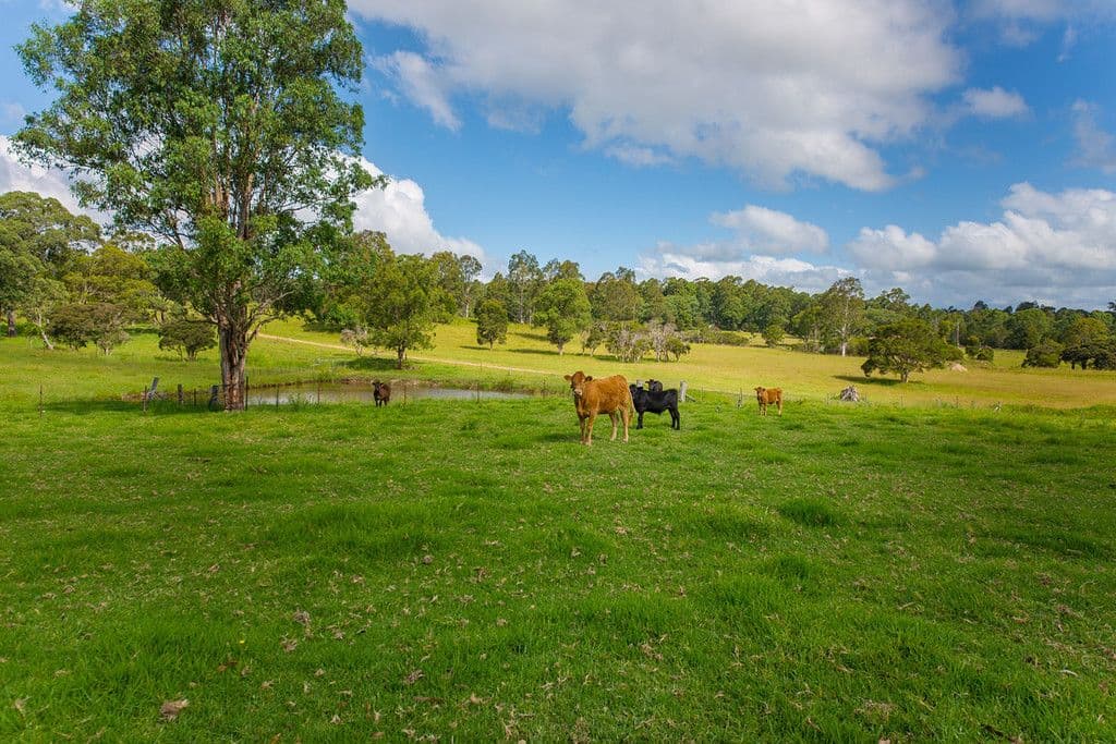 296 Youngs Road, Wingham - Image 1