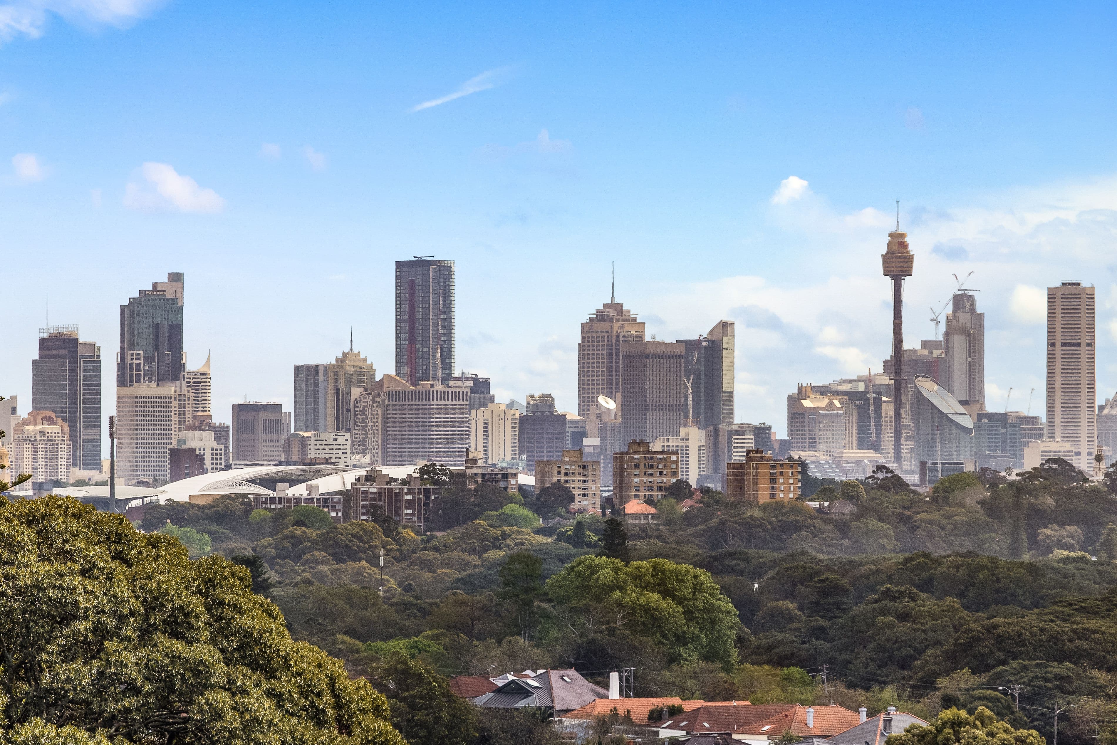 16 Roscrea Avenue, Randwick NSW 2031, Randwick - Thumbnail 5