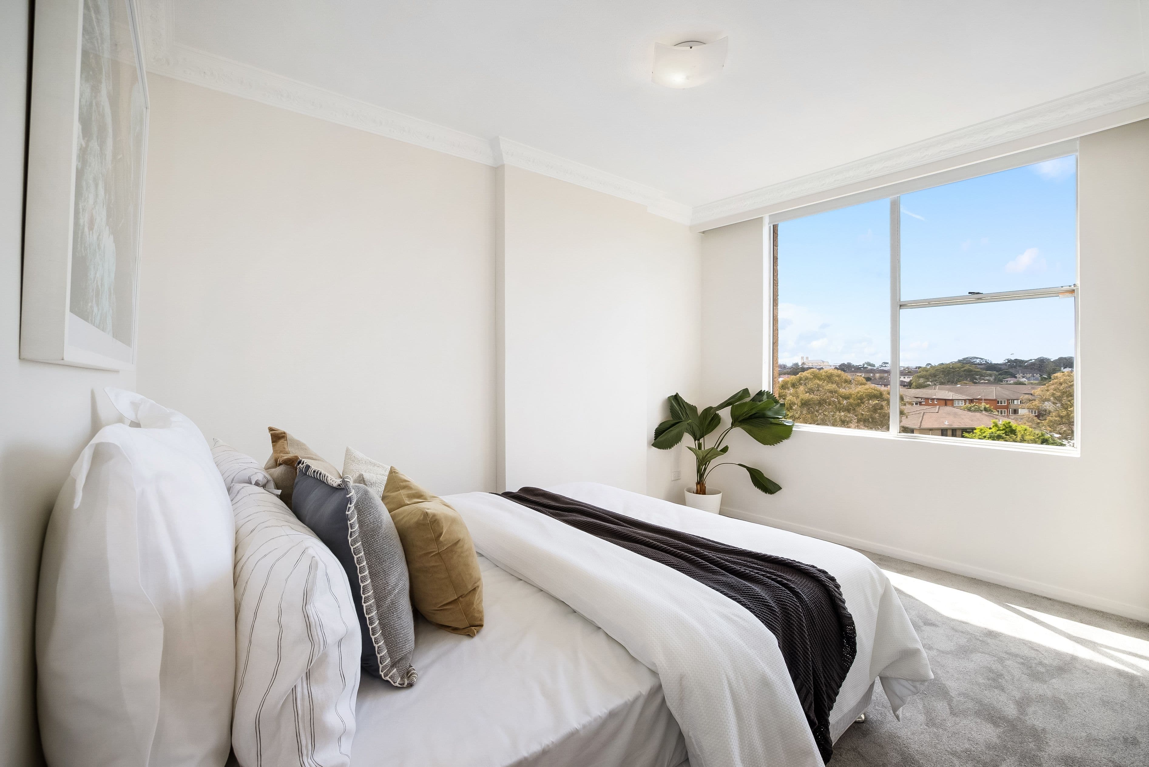 16 Roscrea Avenue, Randwick NSW 2031, Randwick - Thumbnail 6