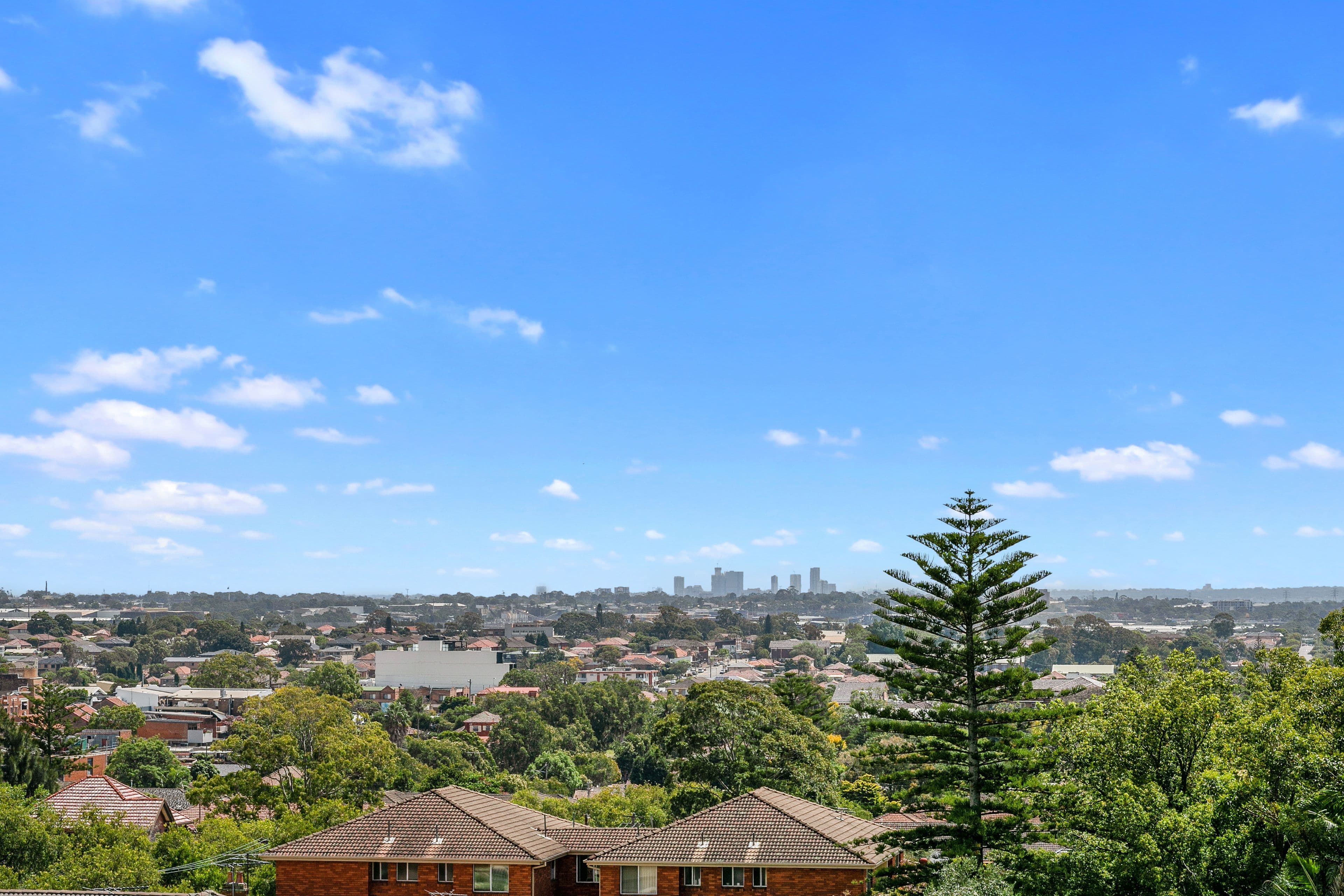 628 Canterbury Road, Belmore NSW 2192, Belmore - Thumbnail 3